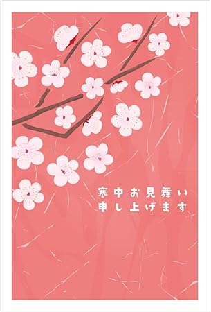 Amazon 寒中見舞いはがき 5枚 切手付き官製ハガキ Kc105 05 和紙柄白梅 ポストカード 絵柄付はがき 文房具 オフィス用品