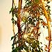 Pansdore Christmas Lights Metal Dragonfly String Lights 10 Bulbs for Home Garden Patio Party Wedding Indoor Outdoor Hanging Decoration, Green Wire