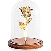 Forever Rose Enchanted Preserved with Real 24K Gold Rose Lasts Forever | Includes Wood Base & Glass Dome | 24K Gold Dipped Rose Assembled by Hand in The USA | Romantic Gifts for Women