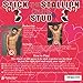 Bachelorette Party Games | Stick the Stallion on the Stud | Double Sided Poster and 28 Stickers | Hilarious Game for Bachelorette & Bridal Parties, Girls Night, Decorations, Supplies