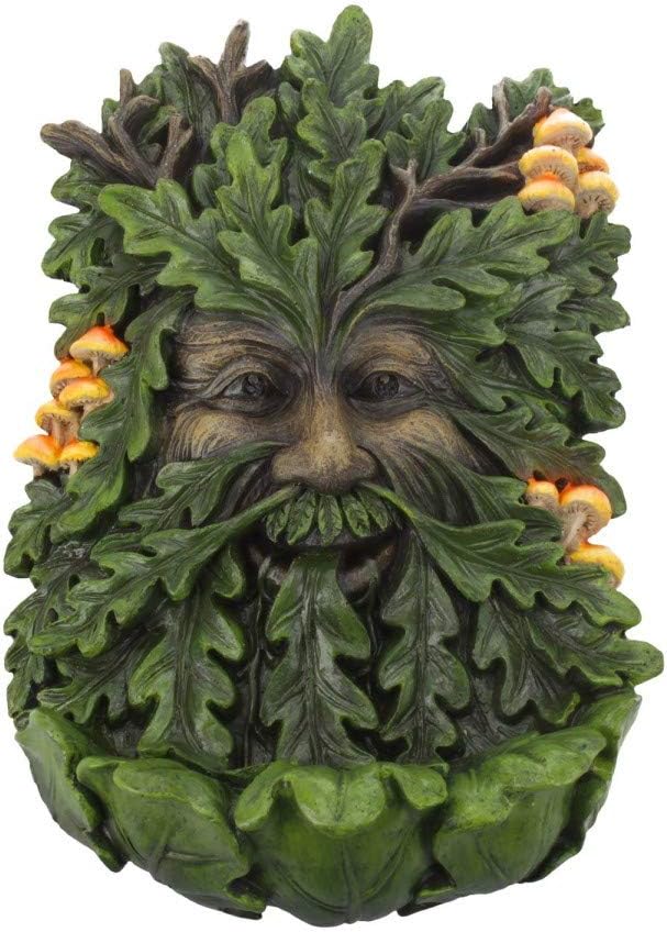 Nemesis Now D4267M8 Elderwood Wall Plaque 19cm Green, Polyresin, 23.8cm, 6.2L x 2.8W cm