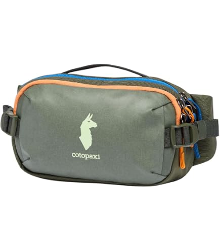 Amazon.com | Patagonia Ultralight Black Hole Mini Hip Pack | Waist