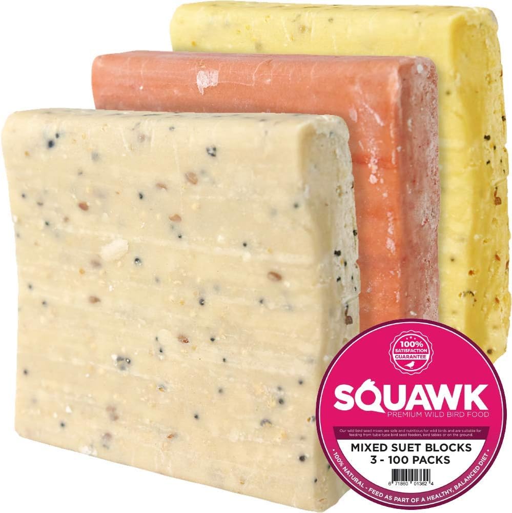 SQUAWK Suet Fat Blocks Premium Grade Garden Wild Bird Food Enhanced