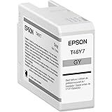 Epson Ultrachrome PRO10 -Ink - Gray
