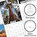 2020 National Parks Wall Calendar (LME3081020)