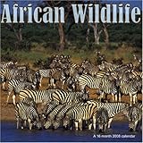 African Wildlife 2008 Wall Calendar by 