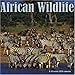 African Wildlife 2008 Wall Calendar by 
