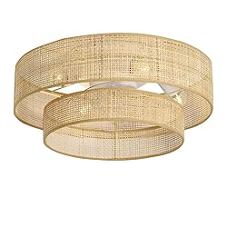 20" Boho Bamboo Small Caged Wicker Rattan DC Low