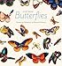 Butterflies 2019 Mini Wall Calendar by