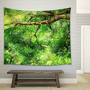Sunrays Shining Through Green Leaves of high treetops in a Beech Forest, Panorama Format - Fabric Wall Tapestry Home Decor - 51x60 inches