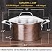 HOMI CHEF Mirror Polished NICKEL FREE Stainless Steel 4.5 Quart Stock Pot with Glass Lid (No Toxic Non Stick Coating, 9.5 Inch)