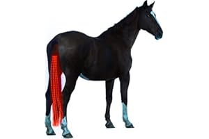 A&K L'YDIA Horse Tail LED Light Bar,100cm/40inch Horse Equipment Riding Tail Trapings Equestrian Type-c Charge Horse Tail Bag for Horse Shows (Red)