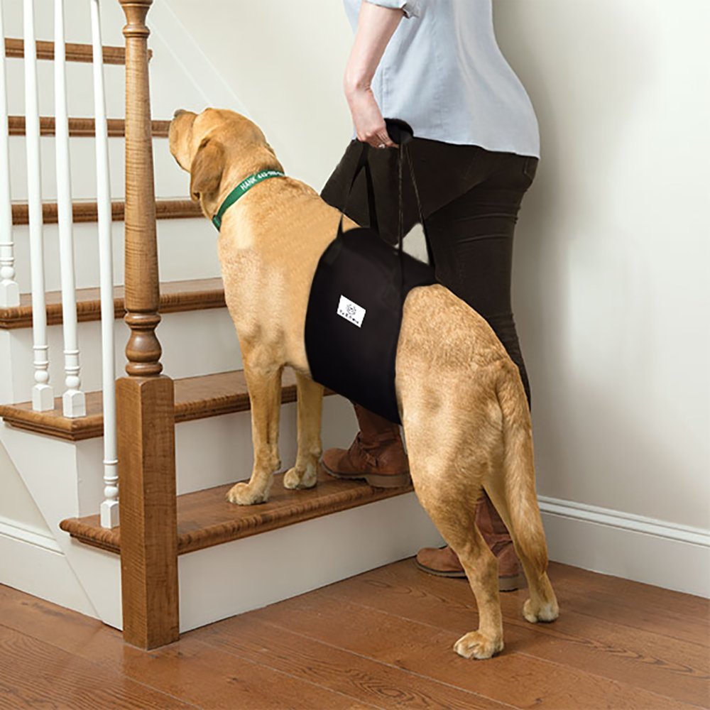 Dog Lift Harness Sling ACL Brace for Rear Leg Support of XL Old Dogs Help Em 658301656121 eBay Dog Lift Harness Sling ACL Brace for Rear Leg Support of XL Old Dogs Help Em 658301656121 eBay