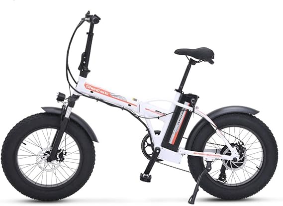 wide tire electric bike