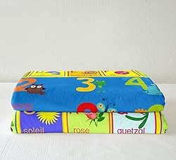 Twin 60"x80" Educational Learning Fuzzy Blanket