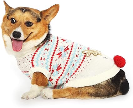 corgi sweater amazon