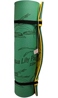 aqua lily pad amazon