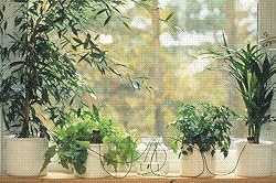 Blumat Classic Plant Watering Stakes