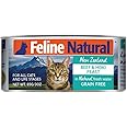 Feline Natural Pate Wet Food for Cats – Beef & Hoki Feast, Grain-Free, High Moisture, 3 Ounce (Pack of 24), New Zealand Made Protein, Complete Canned Meal