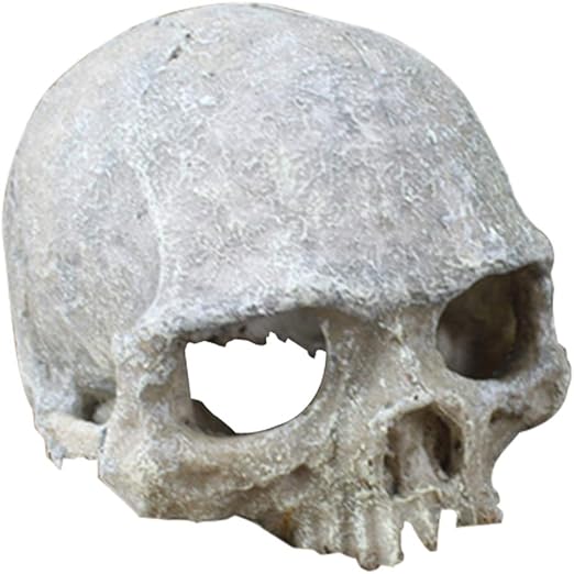 skull aquarium decorations