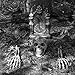 FiGoal Halloween Decor Groundbreaker Realistic Halloween Skeleton Stakes Skull For Yard Decorations Best Outdoor Halloween Decoration Props (Tombstone Yard Signs NOT included)