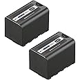 Kastar 2-Pack Battery Replacement for Panasonic AG-VBR59 AG-VBR59G, AG-VBR89 AG-VBR89G, AG-VBR118 AG-VBR118G, VW-VBD29, VW-VBD58 VW-VBD58PPK, VW-VBD78, VW-VBD98 Battery, AG-BRD50P, AG-B23P Charger
