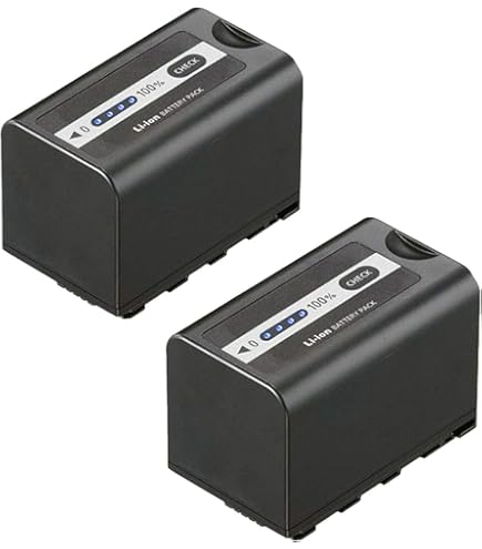 Amazon.com: BM Premium 2 Pack of VW-VBD58 Batteries for Panasonic