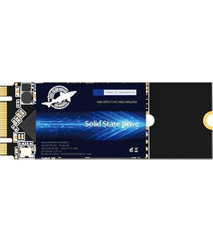 Amazon.com: KINGDATA SSD M.2 2260 512GB Internal Solid State Drive