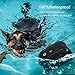 ALTMAN Dog Training Collar 330 Yard Remote Rechargeable and Waterproof 2 Collar Receiver, with Beep/Vibration/Electric Shock for Dogs
