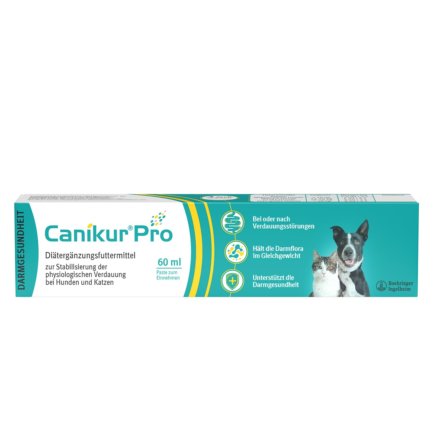 Canikur Pro Paste Syringe - 60ml, clear