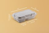 FOOGO Green Clamshell Takeaway Boxes 9x6 32oz 900ml 2-Section Sugarcane view 6