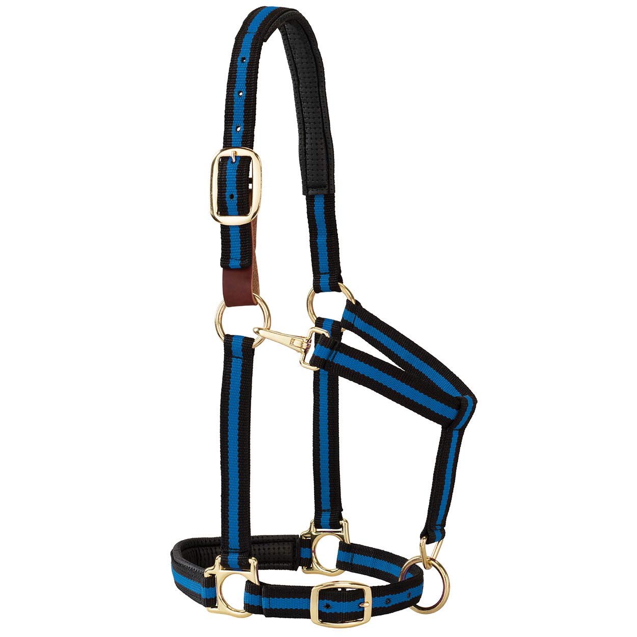 Photo 1 of (BAGGED) (USED/FAIR) Weaver Equine Breakaway Horse Halter, Comfort Foam Padding, Adjustable Chin & Throat Snap Halters for Horses, Equine Tack,Average Size, Blue
