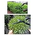 WilFiks Hedge Shears for Professional Gardening and Landscaping - 25