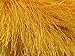 Canary Yellow Extra Long Eyelash Yarn Ice Luxurious Fun Fur 50gr 38yds 13279