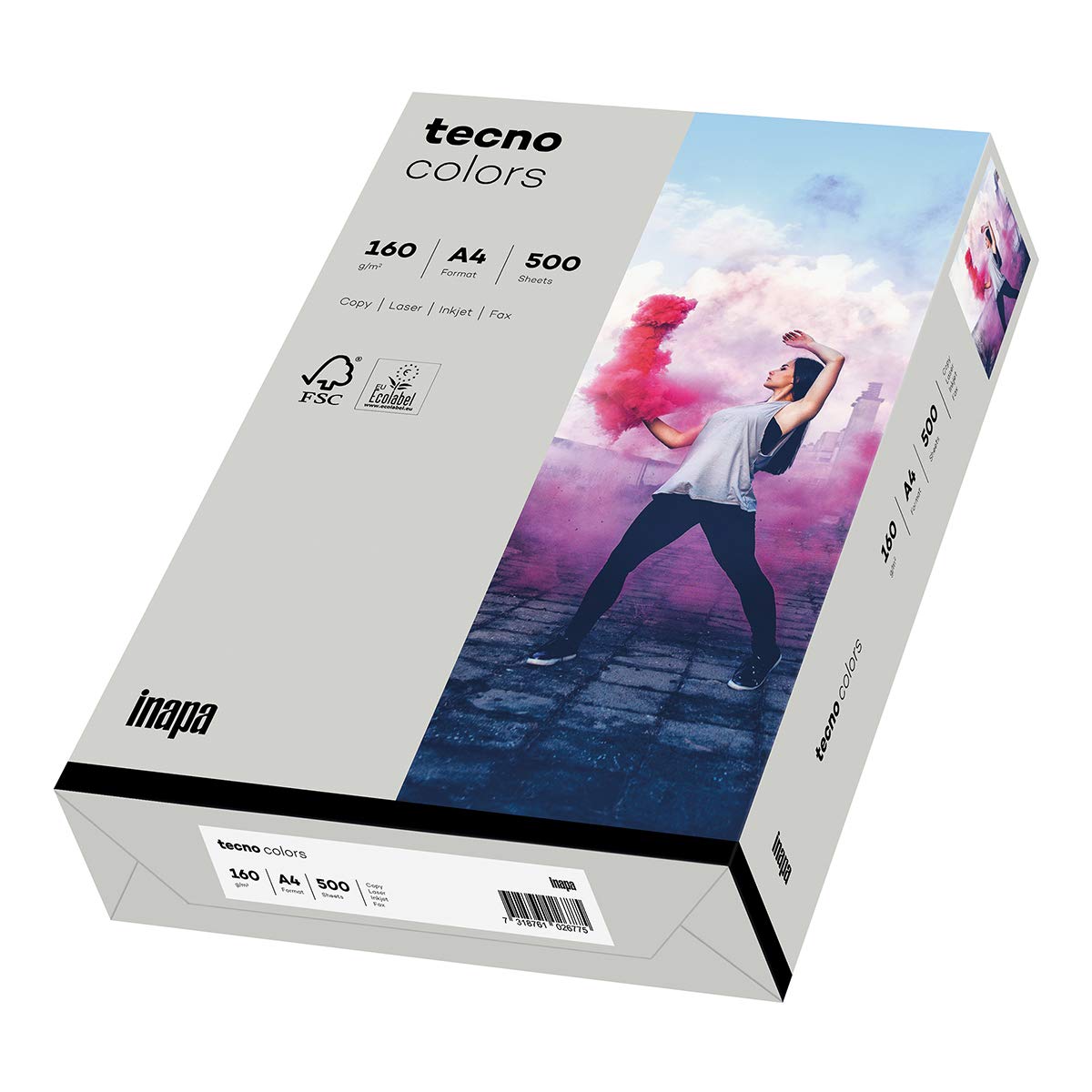 inapa Coloured Printer Paper Tecno Colours 160 g/m² A4 250 Sheets Grey