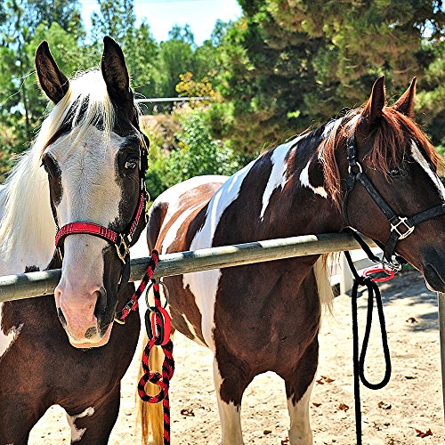 Safety Tie Injuries Preventing Horse Tether Tie, Horse Safety Release