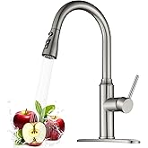 Arofa Kitchen Faucet with Pull Down Sprayer, Brushed Nickel Kitchen Sink Faucet 1-3 Hole Single Handle High Arc Stainless Steel Commercial Modern Kitchen Faucets for RV/Laundry/Outdoor/Farmhouse Sink