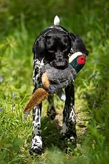 Petface Squeaky Pheasant Plush Dog Toy view 4