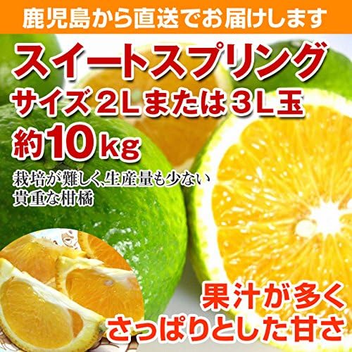 Amazon 今だけ増量中 スイートスプリング 約10k サイズ2l玉以上 おいどん鹿児島ドットコム みかん 柑橘類 通販