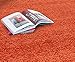Cozy Shag Collection Orange Solid Shag Rug (3'3