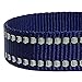 Blueberry Pet Essentials Safe & Comfy 3M Reflective Adjustable Dog Collar - Midnight Navy, Small, Neck 12