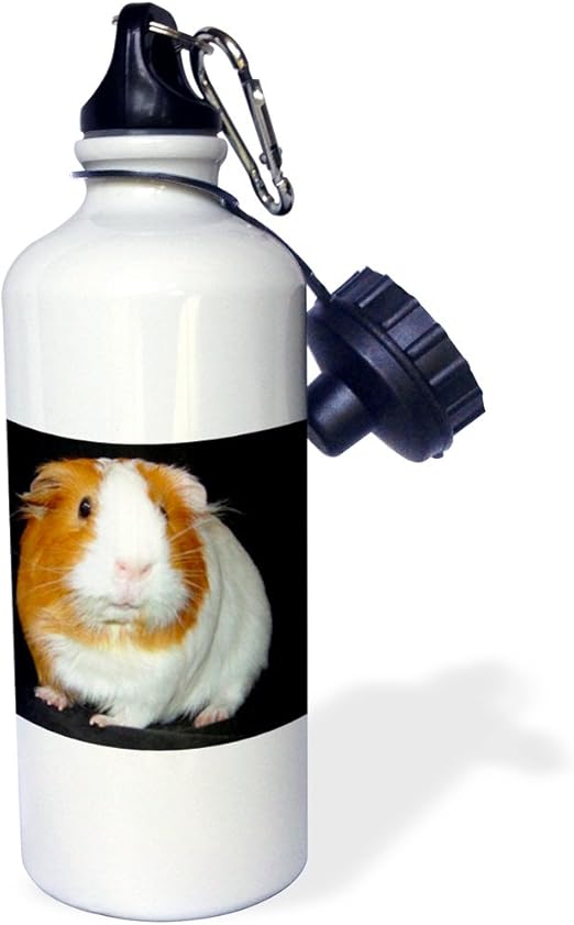 amazon guinea pig water bottle