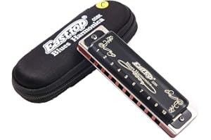 Diatonic Blues Harmonica 10 Holes Blues Harmonica 20 tones black T008K with Case，More Professional Harmonica for Beginner ，St