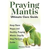 Praying Mantis Ultimate Care Guide