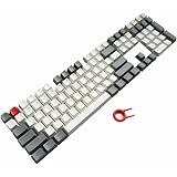 PBT Keycaps Backlit 109Key Set Doubleshot Cherry MX Key Caps Top Print with Keycaps Puller for 87/104/108 MX Switches Mechanical Gaming Keyboard (Gray White Combo)