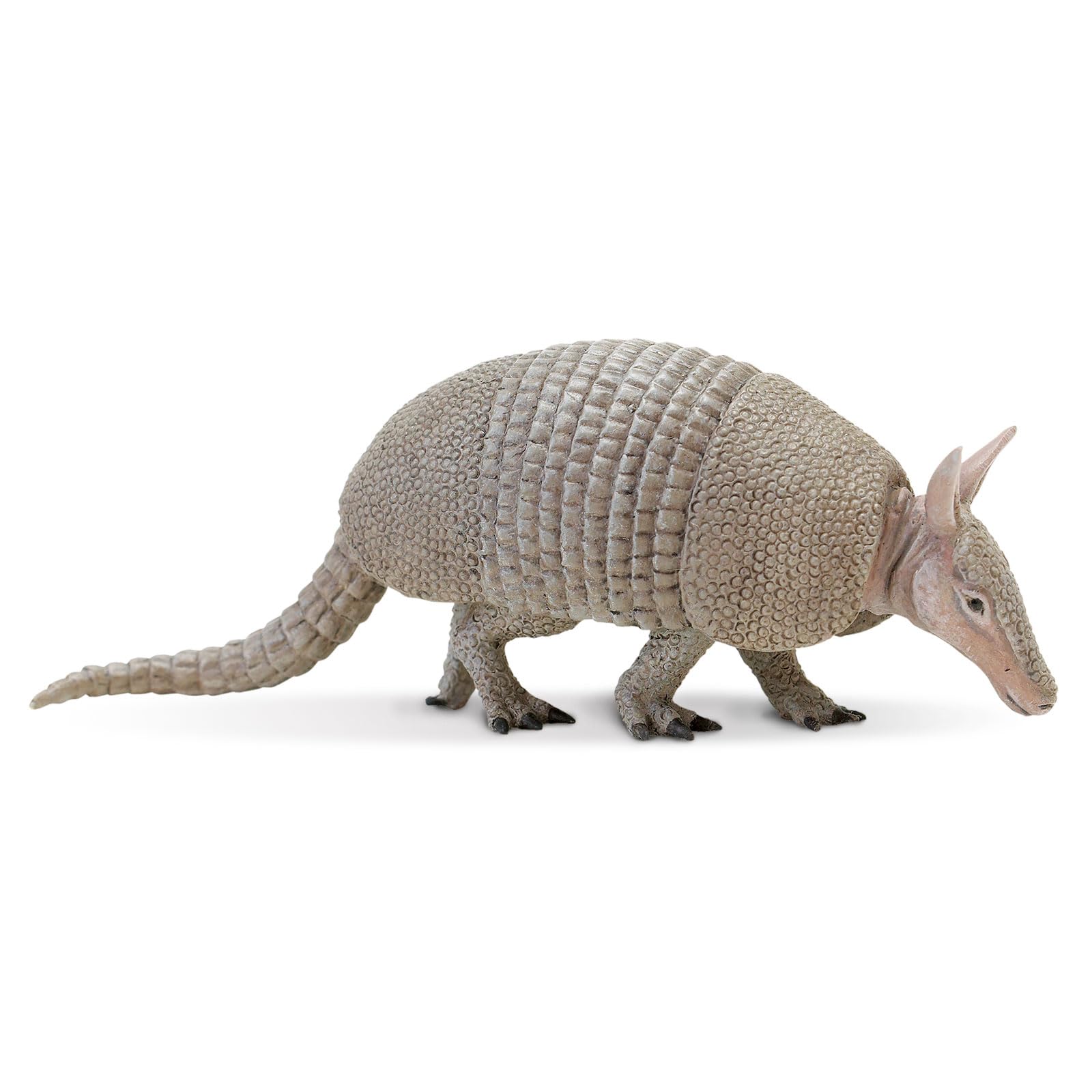 Safari 262829 Armadillo Animal Figure
