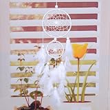 Fictory KO5F White Dream Catcher Acrylic Home Decor view 2