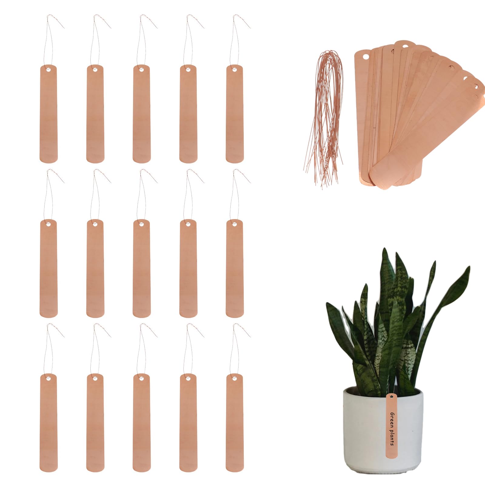 Hemoton 60 Pieces Plant Signs Hanging Copper Plant Labels Plant Flowers Labels with Line Garden Greenhouse Balcony Flower Pot Tree Labels Rose Gold
