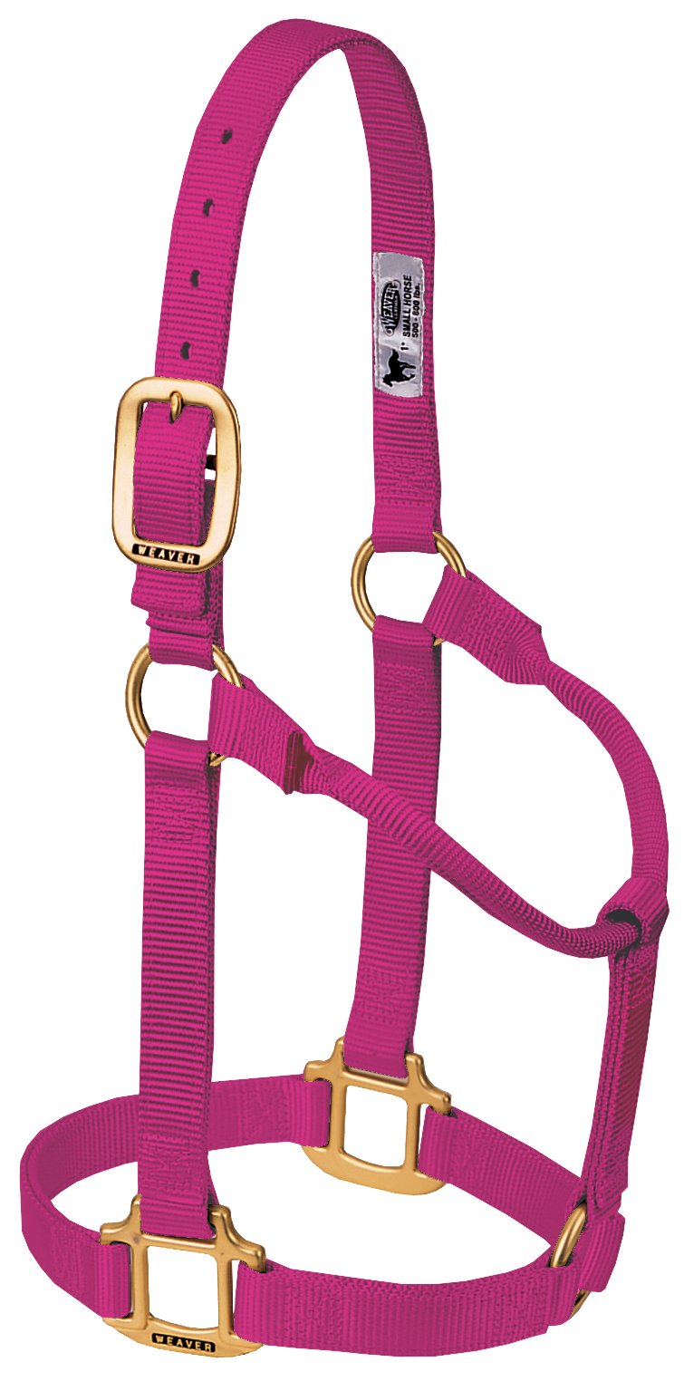 Weaver Leather Original Non-Adjustable Nylon Horse Halter, Large, Raspberry