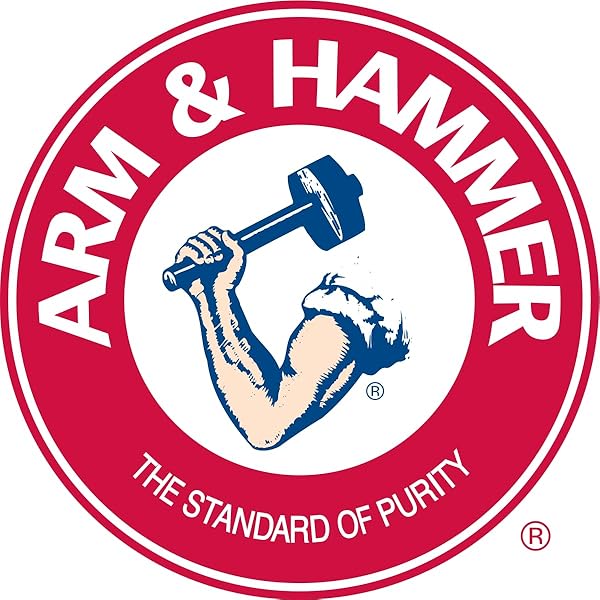 ARM & HAMMER 01110 1 LB ARM & HAMMER BAKING SODA